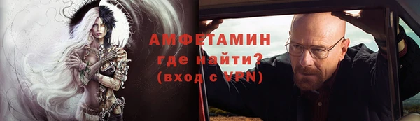 шишки Абаза