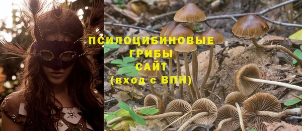 ECSTASY Абдулино