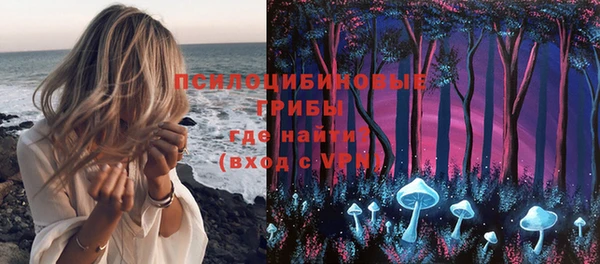 шишки Абаза