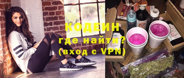 шишки Абаза