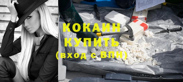 шишки Абаза