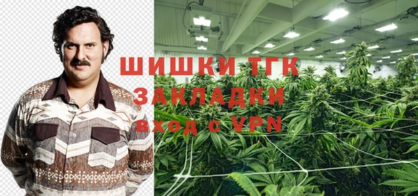 шишки Абаза