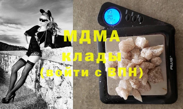шишки Абаза