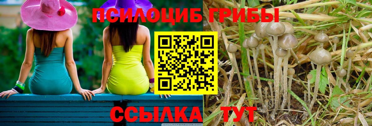наркота  Псилоцибиновые грибы Psilocybe  Вход с VPN  Галлюциногенные грибы MAGIC MUSHROOMS  Серпухов 